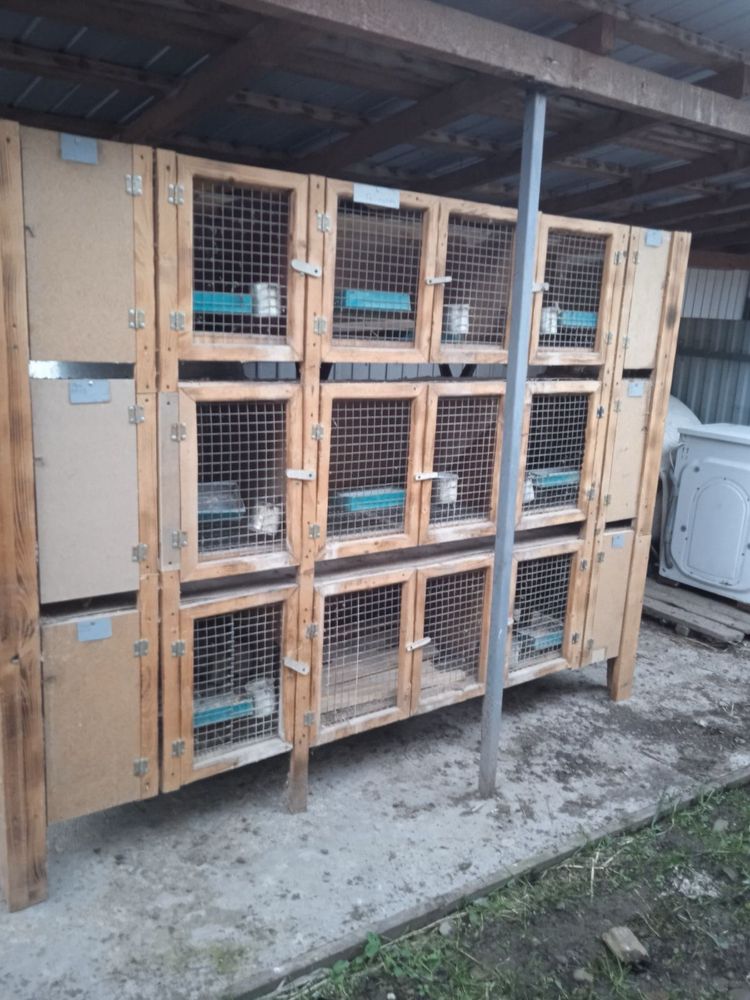 Продам б/у коєць