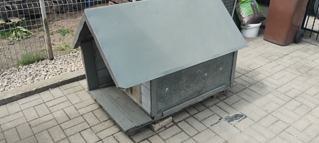Buda dla średniego psa