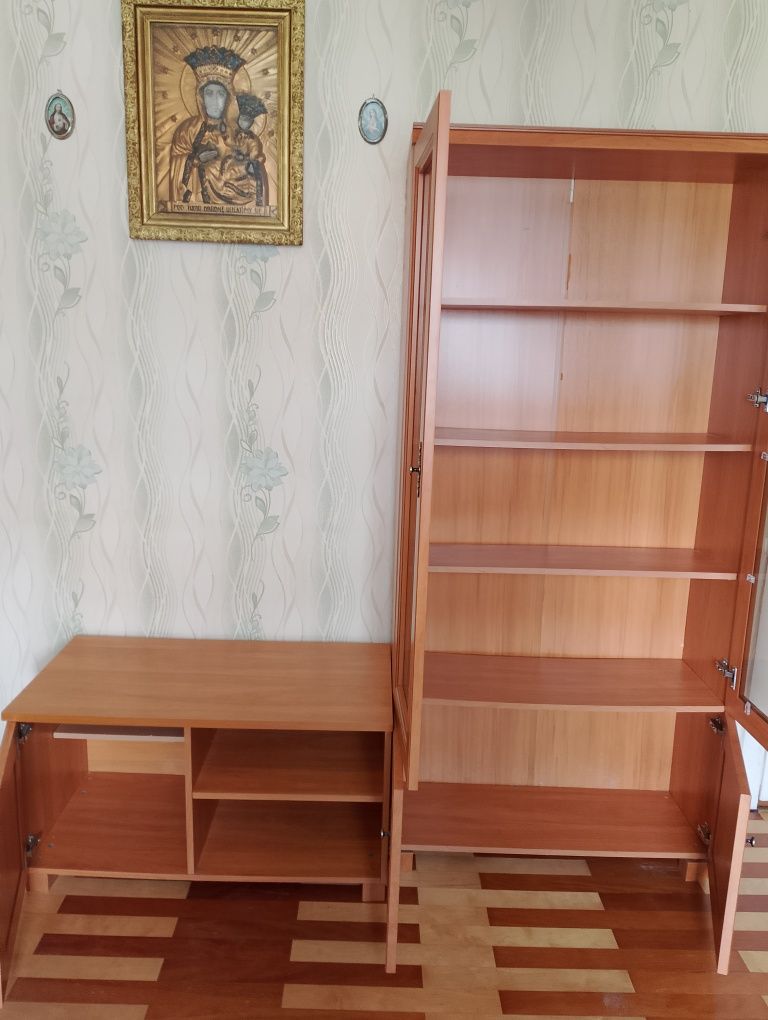 Sprzedam witrynę i stolik RTV