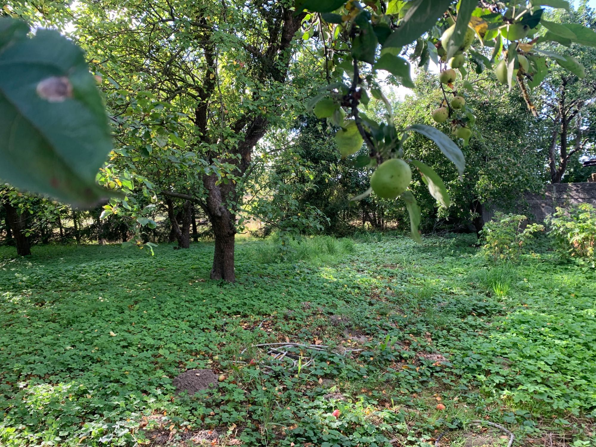 Dom przy ulicy Plantowej