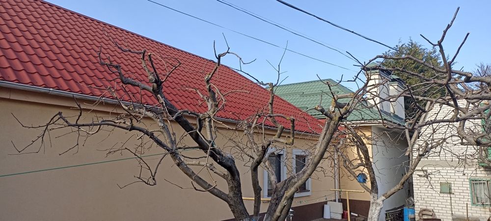 Видалення, чистка, обрізка дерев