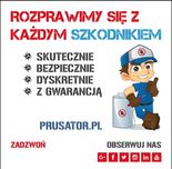 ZWALCZANIE PRUSAKÓW, KARALUCHÓW- Dezynsekcja, Dezynfekcja, Deratyzacja