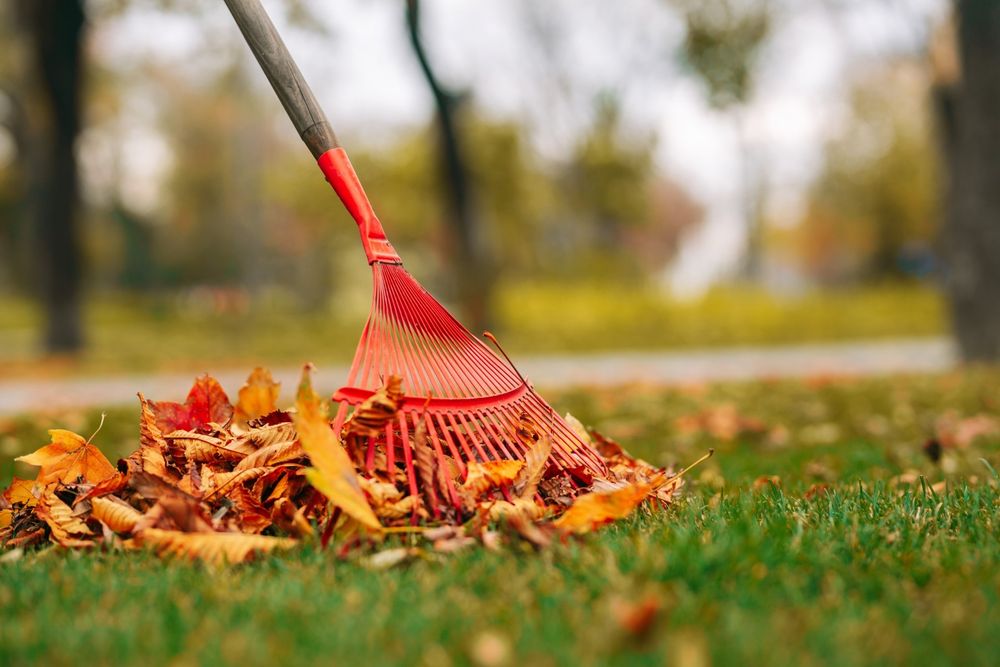 Ogrodnik ,sprzątanie i przygotowywanie ogrodów do zimy