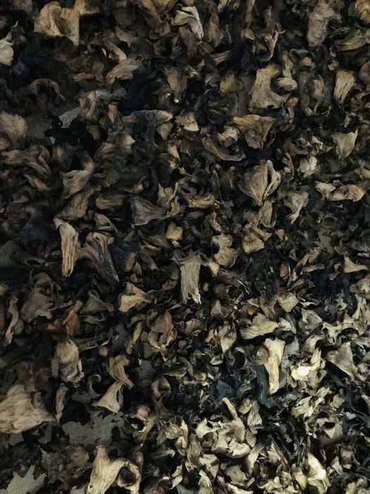 Лисички чорні сушені