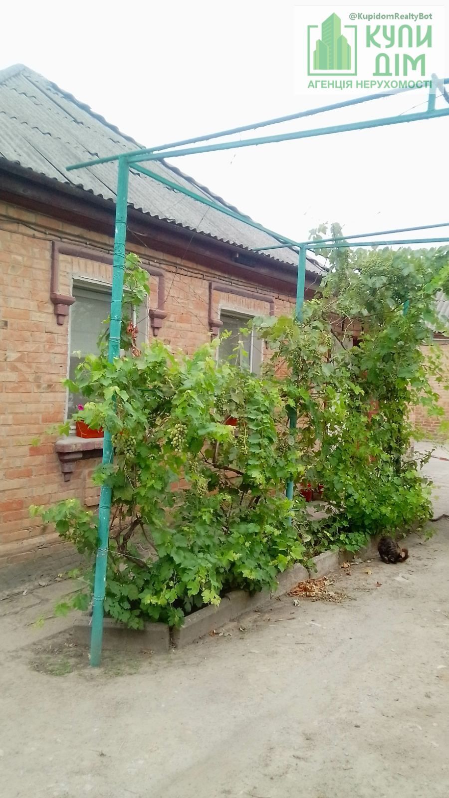 Продам два будинки
