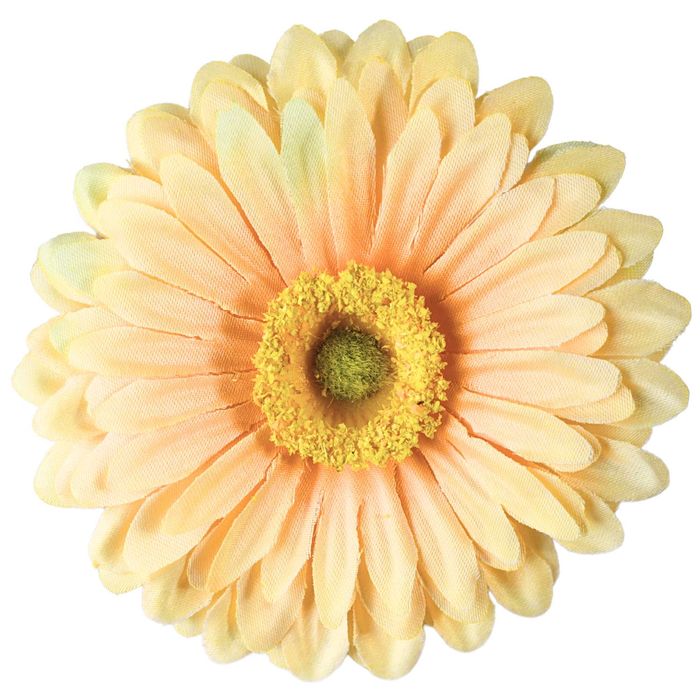 KWIAT GERBERY Żółta gerbera Główka kwiatowa jak żywa Do Bukietu 12szt