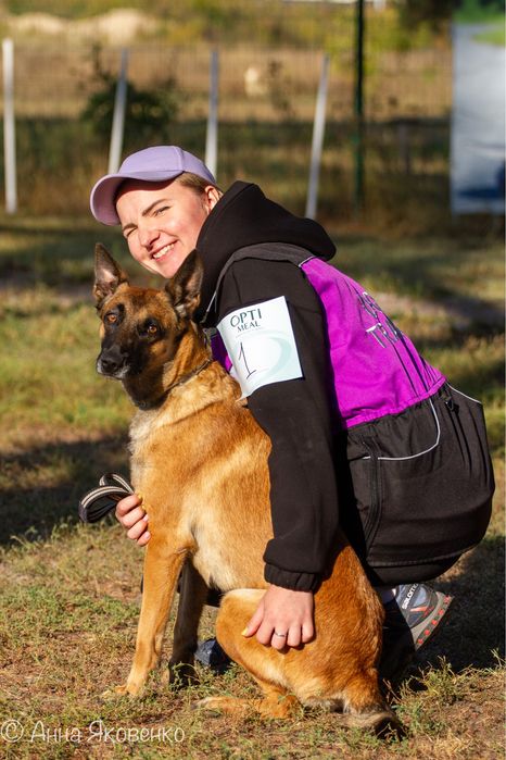 Дресирування собаки. Кінолог.