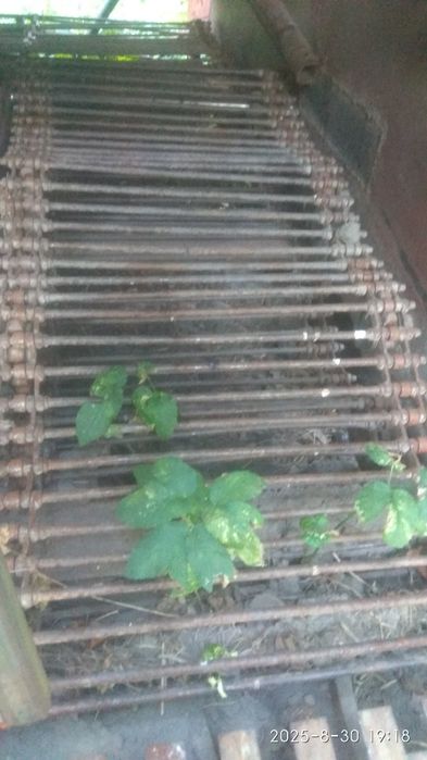 Картоплекопач КТН-2