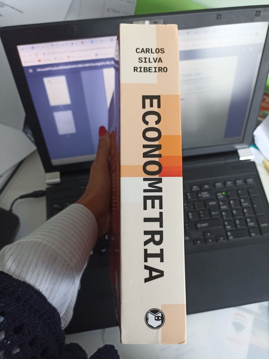 Livro Econometria