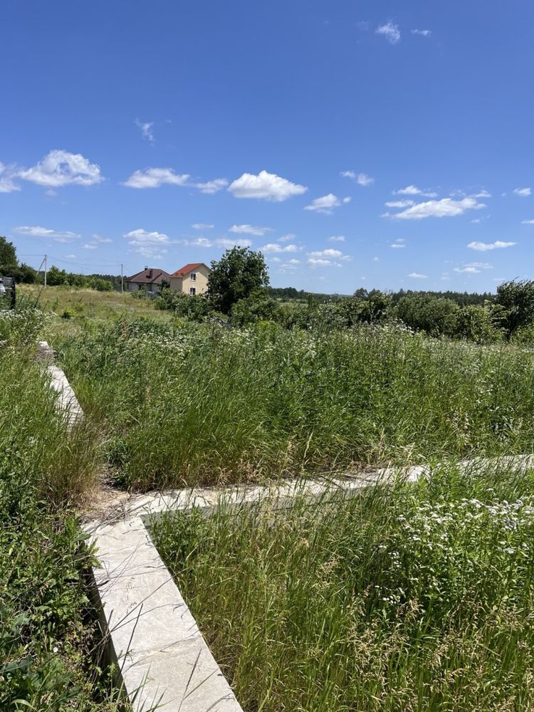Косіння трави ,бурʼяну,газону вирізка кущів та дерев не дорого