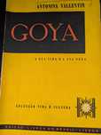 Goya de Antonina Vallentin