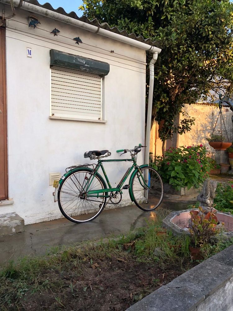 Bicicleta pasteleira verde