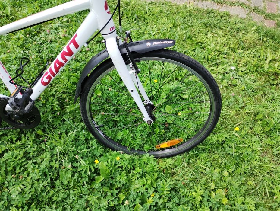 Rower GIANT ESCAPE JUNIOR na kołach 24" - rama aluminium - Shimano 1x7
