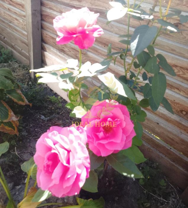 Продам будинок в Плесецькому!