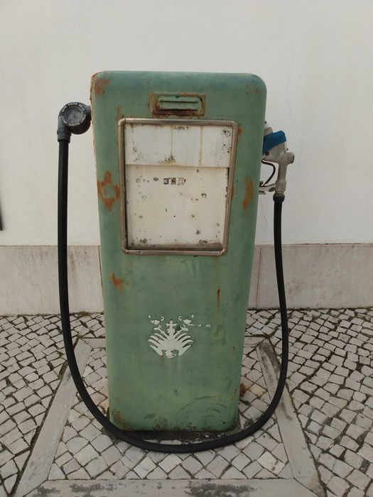 Motorista profissional