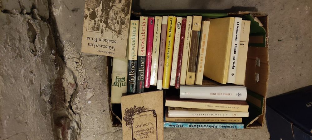 Pudełko literatury różnej, klasyka krajowa i pozycje autorów obcych