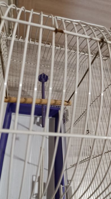 Клітка для папуги б/у