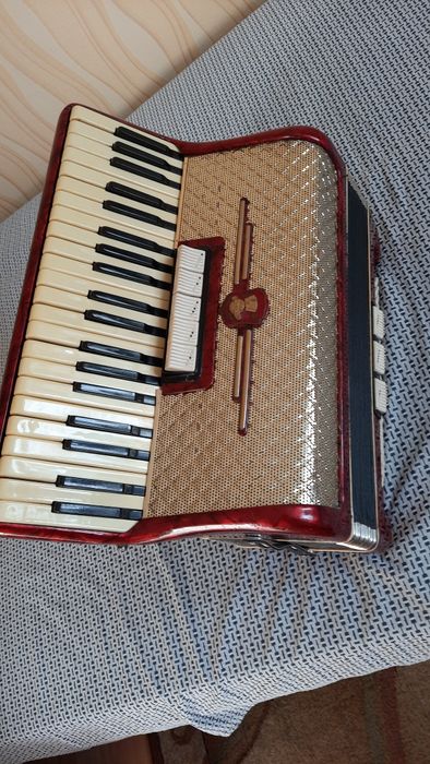 akordeon weltmaister gigantili 120 basów