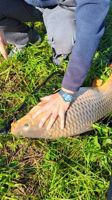 Domki całoroczne z łowiskiem.