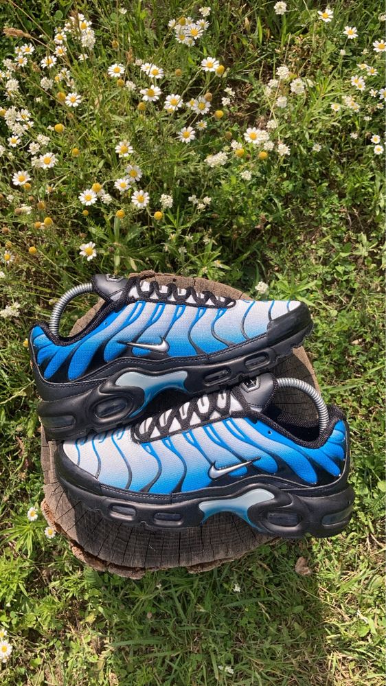 Кросівки Nike Air Max Tn Plus Gradient Nebula