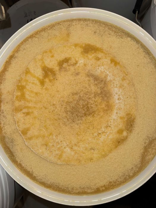 Miód w wiadrach z własnej pasieki. Hurt