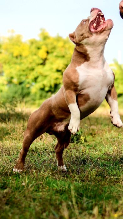 Відкритий для В'язки