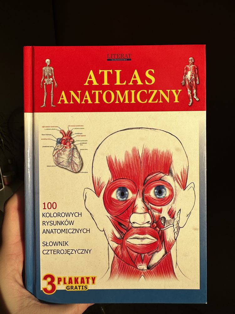 atlas anatomiczny