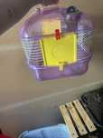 Gaiola de hamster
