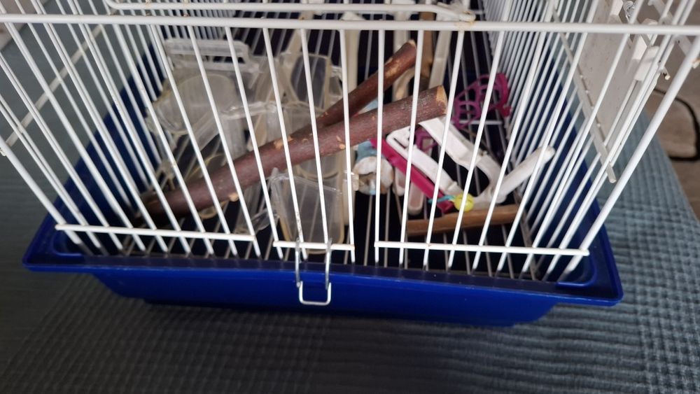 Gaiola pássaros em metal