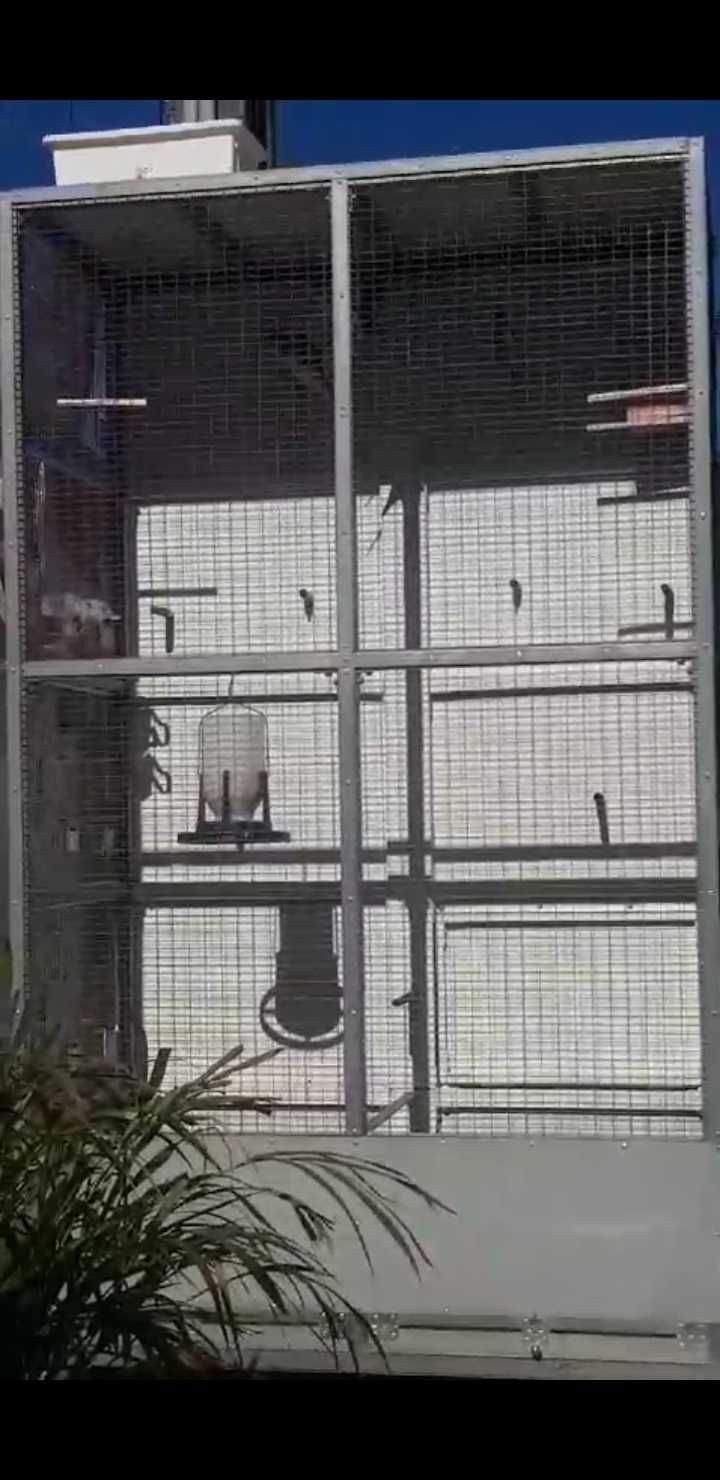 OPORTUNIDADE  Viveiro para pássaros