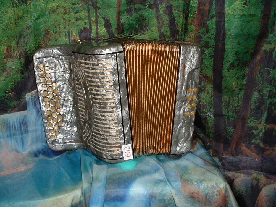 Concertina a venda n.662