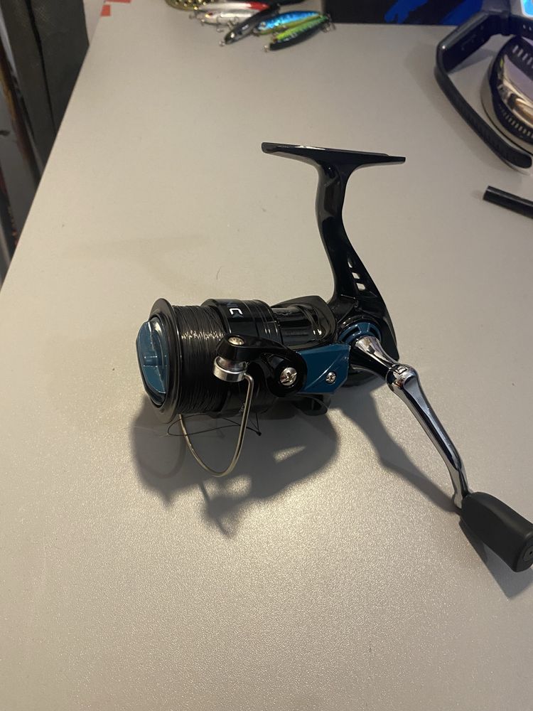 kolowrotek delphin