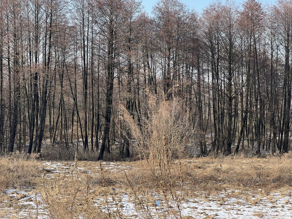 Земля 6гек Пуховка начало Лес свет газ асфальт интернет