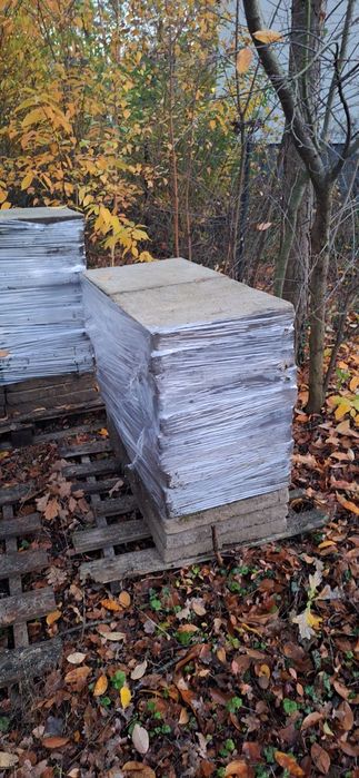 Płyty chodnikowe 50 x 50