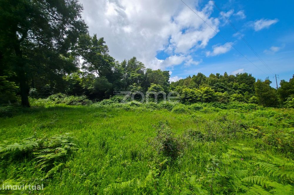 Terreno Agrícola na Zona da Mesquita em São Roque do Pico
