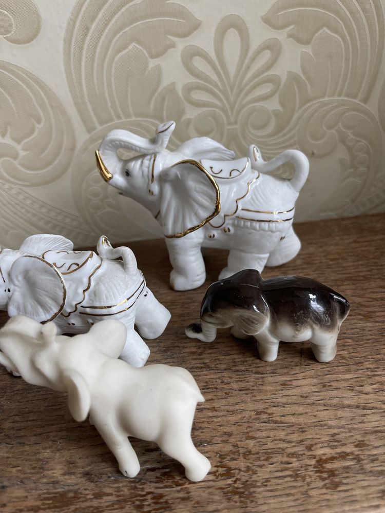 6 szt kolekcja porcelanowych słoni słoń słonik słonie