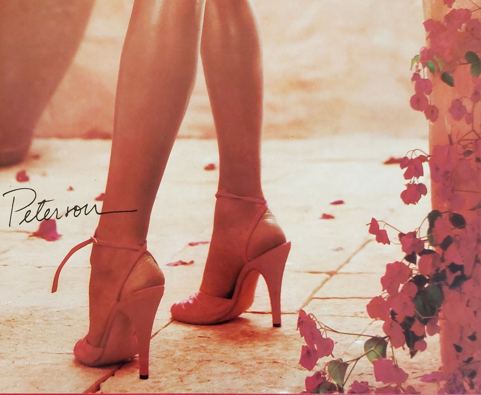 33 Posters Playboy