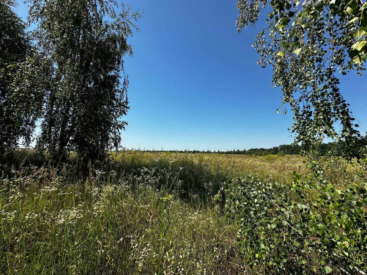 Продаж земельної ділянки 38,59 соток (ОСГ). 50 метрів від траси.ID:678