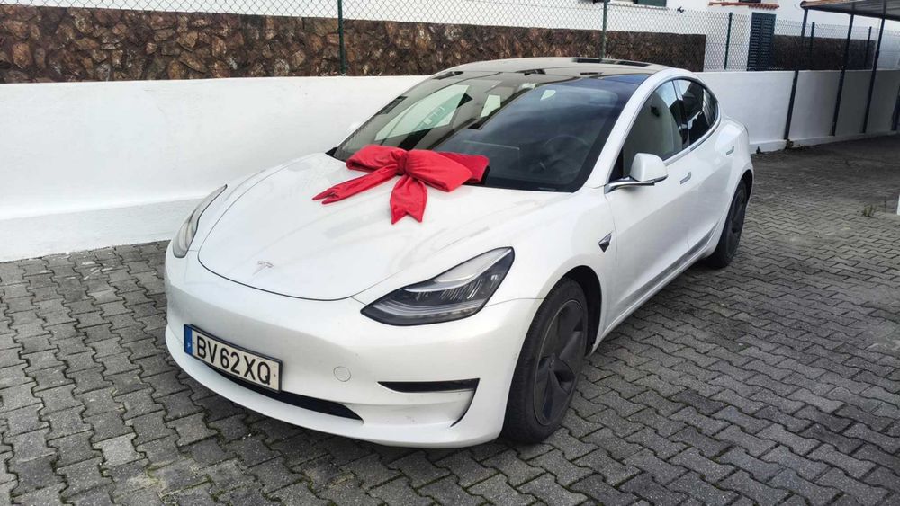 Tesla Model 3 Standart Range Plus