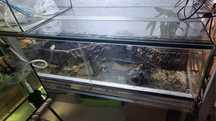 Terrarium dla Kraba