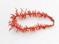 Colares coral vermelho