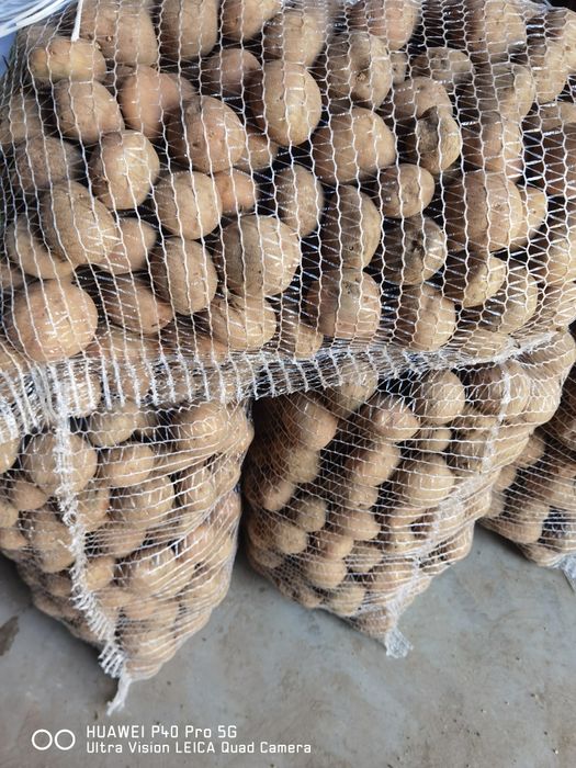 Ziemniaki Irga Hurt/detal 15kg