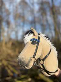Hobby horse Fiord