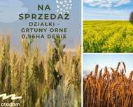 Grunty rolne – łąki trwałe 0,97 ha – Dębie / Chrząstowice  pod uprawy!