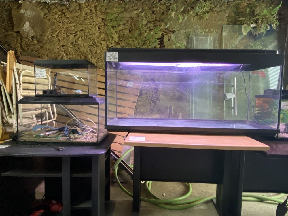 Aquário Grande com Iluminação LED – 1,20m