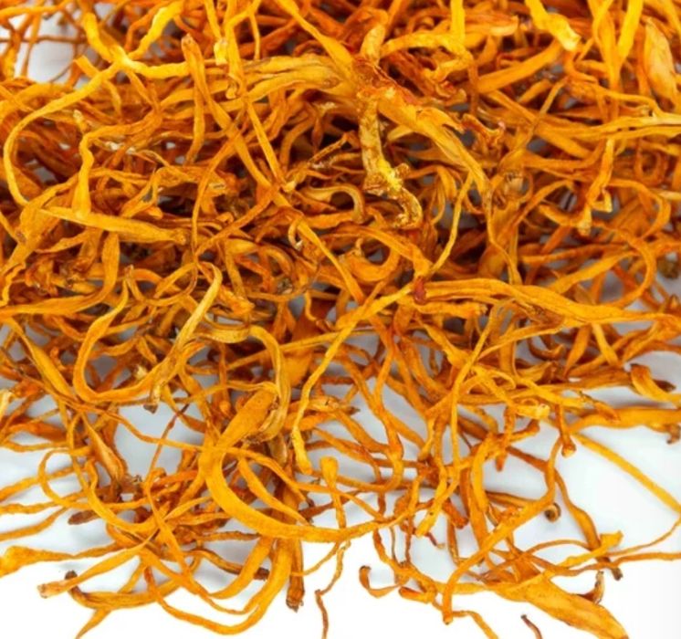 Їжовік гребінчастий, траметес, рейши, кордіцепс