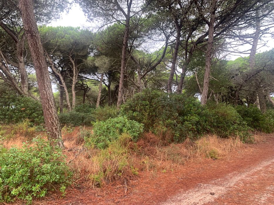 Terreno à Venda na Aldeia do Meco, Sesimbra