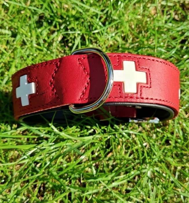 Obroża Hunter Swiss