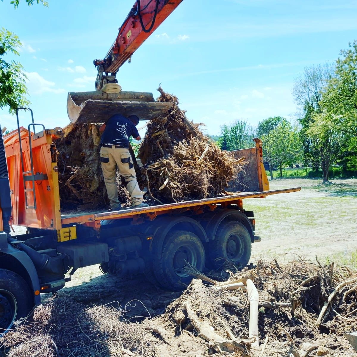 Usługi minikoparką i Transport do 3.5 t