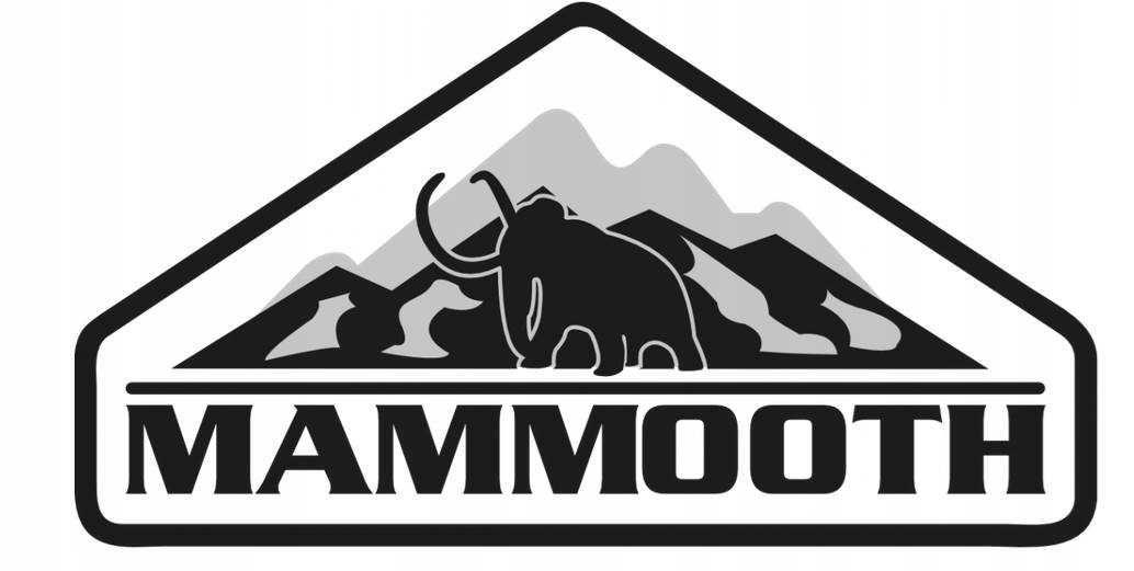 Dętka Mammooth 155-13, 165-13, 165/70-13, 175/70-13 TR13